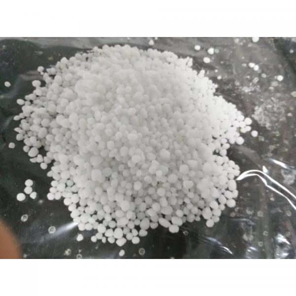 Prilled and Granule Urea #1 image