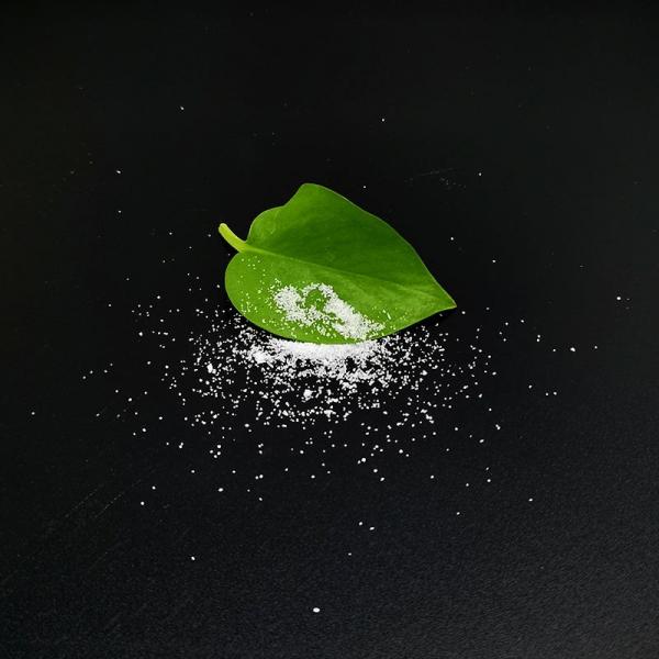 Ammonium sulphate fertilizer crystal #5 image